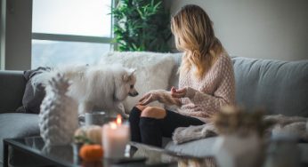 What should I include in my agreement for pets?